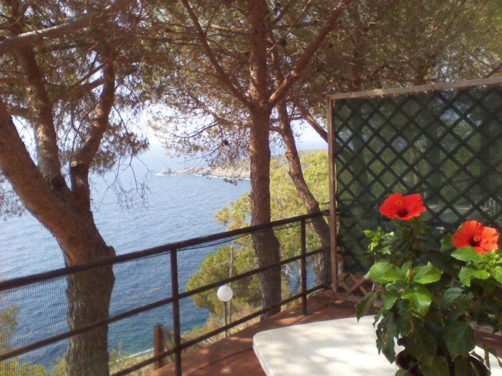 Residence La Calle Isola D'Elba Exterior photo
